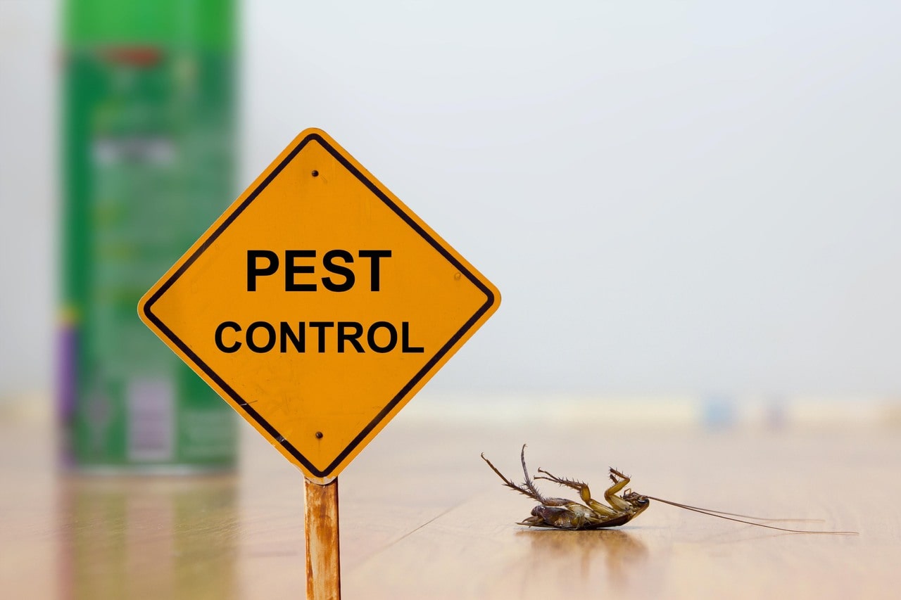 Pest Control Service Abu Dhabi, Best Home & Office Pest control company