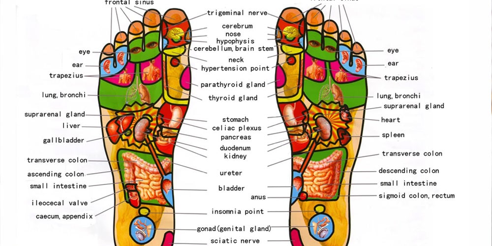 foot reflexology massage service