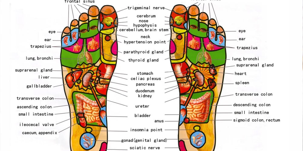 Foot Reflexology Massage Therapy Best Reflexology Treatment Near Me